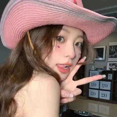 躲在阁楼的安妮·法兰克